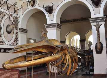 أسبوع الموضة المصري