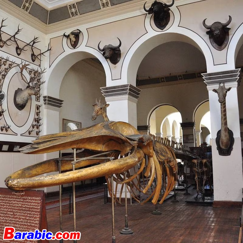 سيفتح متحف الزراعة أبوابه بعد خمس سنوات لأسبوع الموضة في مصر. الصورة: مجلس الأزياء والتصميم المصري