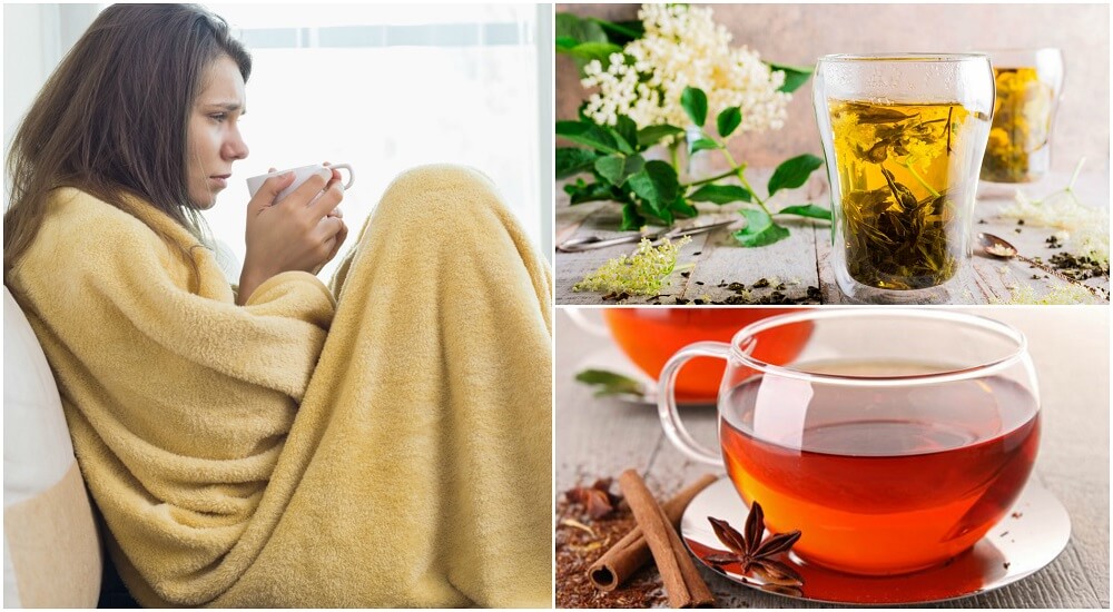 افضل 5 نباتات لمحاربة مرض الانفلونزا