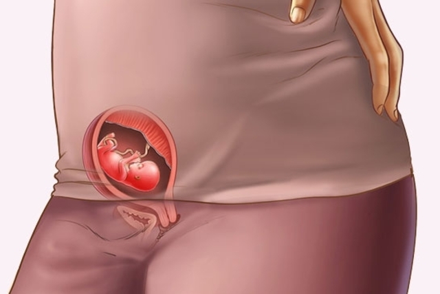 التغييرات في الجسم في 11 أسبوعا من الحمل
