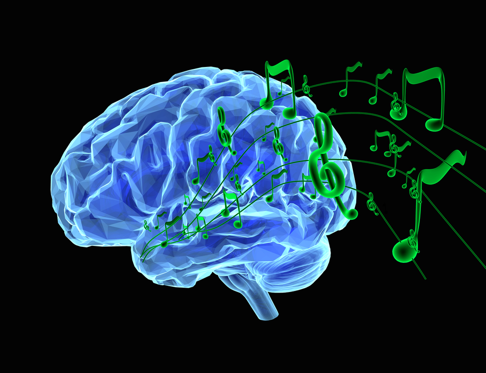 العلماء تحديد خلايا الدماغ الأولى التي تستجيب للصوت