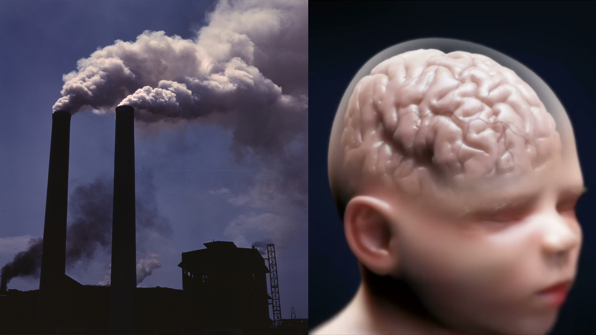 تلوث الهواء السام يمكن أن يدمر أدمغة الأطفال ووقف تطورهم