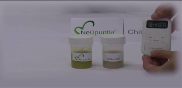 نيوبنتيا لانقاص الوزن Neopuntia